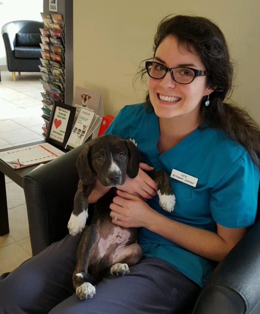 Katie was getting some quality puppy time with Turner, a Boot n' Kit puppy in for its initial exam.