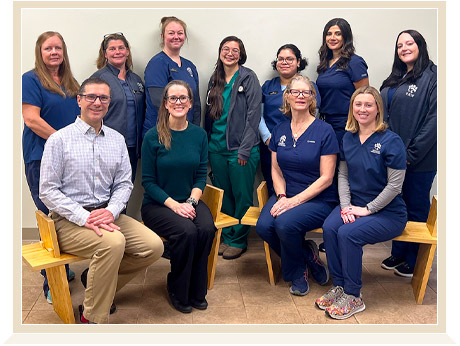 avon animal hospital in ct